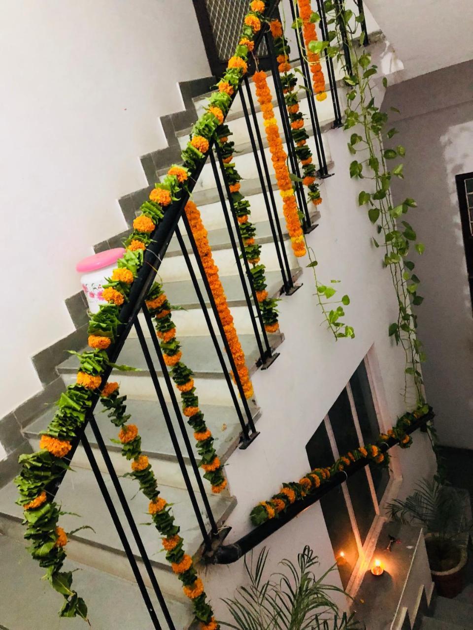 Maison Jaipur Ngoại thất bức ảnh